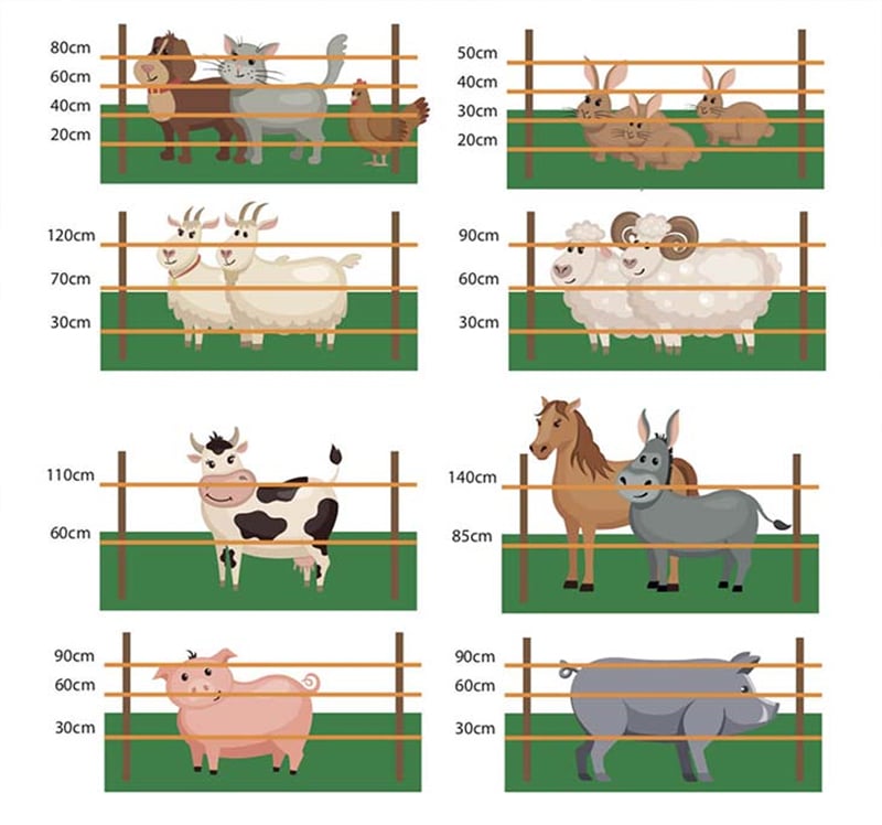 Hilo para Pastor eléctrico Cerca eléctrica 500 MT 2,2 mm² Valla eléctrica  Valla electrificada para Animales jabalí Vacas Caballos Perros Cerdos  gallinas Zorros Gemi Elettronica : : Industria, empresas y ciencia