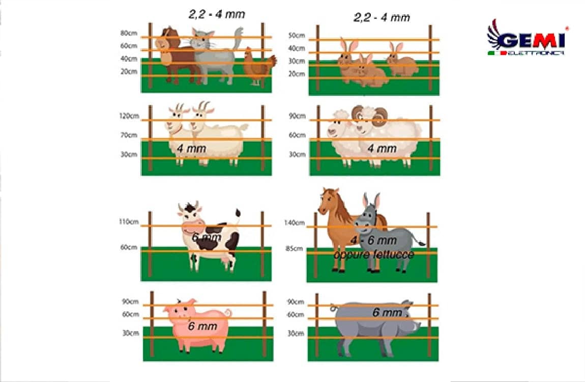 How to position the wires of an electric fence? Here's the complete guide...