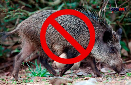 How to prevent wild boars and hedgehogs from intruding into your garden: Building an Electric Fence.